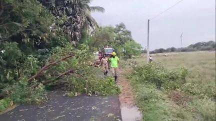 கயத்தாறு: பன்னீர்குளம் பகுதியில் உள்ள சாலையில் கடும் மழை காரணமாக மரம் குறுக்கே விழுந்து போக்குவரத்து பாதிப்பு