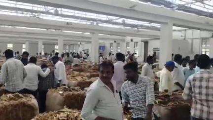 కనిగిరి: సరైన గిట్టుబాటు ధర లభించడం లేదని పొగాకు రైతుల ఆవేదన, కనిగిరిలో పొగాకు వేలం నిలిపివేస్తున్నట్లు ప్రకటన #localissue