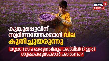 കുങ്കുമപ്പൂവിന് വില കുതിച്ചുയരുന്നു, യുദ്ധസാഹചര്യത്തിലും കശ്മീരിന് ഇത് ശുഭകാര്യമാകാൻ കാരണം? | N18V