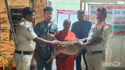 పూతలపట్టు: గుర్తుతెలియని వాహనం ఢీకొని జింక కాలుకు దెబ్బ తగలడంతో అడివి శాఖ అధికారులకు అప్పగించన ఐరాల పోలీసులు