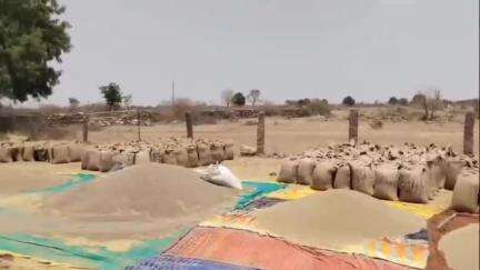 गुनौर: माया वेयरहाउस में चल रही खरीदी में भारी अनियमितताएं, परेशान किसानों ने लगाया आरोप #jansamasya