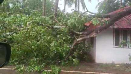 നിലമ്പൂർ: നിലമ്പൂരിൽ പെയ്ത കനത്ത മഴയിലും കാറ്റിലും വ്യപകമായി നാശം