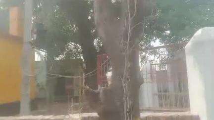 खजनी: बेलघाट ब्लॉक के सुअरहाँ ग्राम पंचायत में जल जीवन मिशन में लापरवाही, नियमित जलापूर्ति नहीं होने से ग्रामीण परेशान