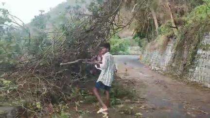 ஏற்காடு: 7வது கொண்டை ஊசி வளைவு சாலையின் குறுக்கே ராட்சத மரம் விழுந்தது- போக்குவரத்து பாதிப்பு