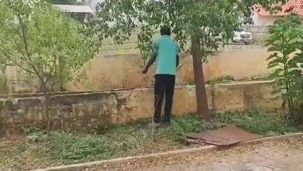மதுக்கரை: போத்தனூர், சூலூர் சிந்தாமணிப்புதூர் மற்றும் சிங்காநல்லூர் பகுதிகளில் ஒரே நாளில் மூன்று பாம்புகள்  மீட்கப்பட்டன