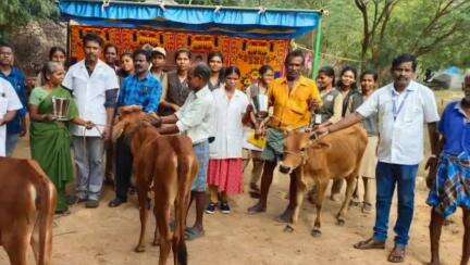 ஆலங்குடி: சூத்தியன்காடு கிராமத்தில் சிறப்பு கால்நடை சுகாதார மற்றும் விழிப்புணர்வு முகாமில் ஏராளமான கால்நடை வளர்ப்போர் பங்கேற்பு