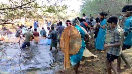 சிங்கம்புனரி: சிலநீர்பட்டியில்  விவசாயம் செழிக்க  நடைபெற்ற மீன்பிடி திருவிழா