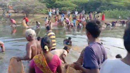 சிங்கம்புனரி: வேங்கைபட்டி பெரியண்ணன் கண்மாயில் மீன்பிடி திருவிழா கிலோ கணக்கில் மீன்களை அல்லிய பொதுமக்கள்