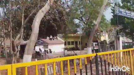 तिवसा: दुचाकीच्या धडकेत इसमाचा मृत्यू माऊली जागीर पोलीस स्टेशन अंतर्गत माऊली ते नांदगाव पेठ मार्गावर घटना