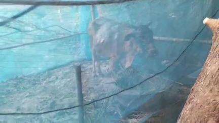 বেলডাঙা ২: আন্দুলবেড়িয়ায় অগ্নিকাণ্ডে ক্ষতিগ্রস্ত পরিবারের পাশে বেলডাঙ্গার ২নং পঞ্চায়েত সমিতি ও তৃণমূল নেতা আতাউর রহমান