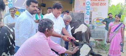 ಚನ್ನಪಟ್ಟಣ: ಬಾಣಗಹಳ್ಳಿ ಗ್ರಾಮದಲ್ಲಿ ರಾಸುಗಳಿಗೆ ವಿಮೆ ಮಾಡಿಸುವ ಕಾರ್ಯಕ್ರಮಕ್ಕೆ ಬಮೂಲ್ ನಿರ್ದೇಶಕ ಜಯಮುತ್ತು ಚಾಲನೆ