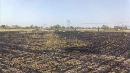 नईगढ़ी: मिसिरा कोठार गांव में खेत पर अज्ञात कारणों से लगी आग, गेहूं की खड़ी फसल जलकर हुई राख