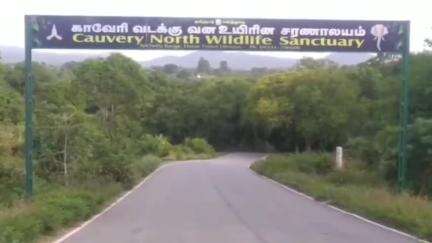 தேன்கனிகோட்டை: மாமரத்துபள்ளம் வனப்பகுதியில் உயிரிழந்த கிடந்த 40 வயது ஆண் யானை - யானைகளுடன் ஏற்பட்ட சண்டையில் உயிரிழந்திருக்கலாம் என தகவல்