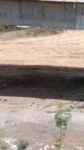 राहतगढ़: ग्राम सागोनी उमरिया में किसान के खेत से तेंदुआ दिखा, वन विभाग की टीम ने किया मौके पर निरीक्षण