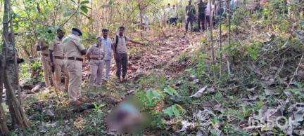 दोडामार्ग: मोर्ले येथील शेतकऱ्याचा हत्तीच्या हल्ल्यात मृत्यू