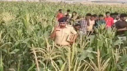 मोकामा: मोकामा के गोसाईगांव में मक्के के खेत में मिला अज्ञात युवक का शव, इलाके में सनसनी