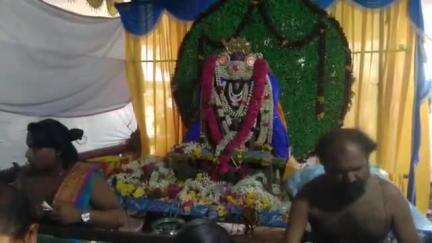 வேதாரண்யம்: தகட்டூர் மாப்பிள்ளை வீரன் கோவிலில்  வாழைப்பழம் வீசும் ஐதீக திருவிழாவில் ஆயிரக்கணக்கானோர் பங்கேற்பு