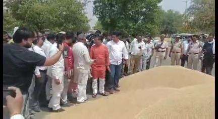 होडल: खाद्य मंत्री राजेश नागर ने होडल अनाज मंडी का किया निरीक्षण