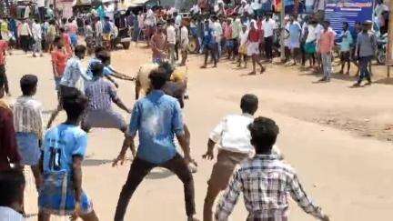 சிங்கம்புனரி: பெரியகடை வீதியில் இளவட்ட மஞ்சுவிரட்டு- 200க்கும் மேற்பட்ட காளைகள் பங்கேற்பு, 5 பேர்  காயம்
