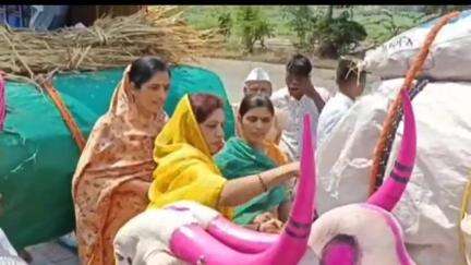 कराड: जोतिबा यात्रेसाठी निघालेल्या निनाम पाडळी येथील मानाच्या पहिल्या सासनकाठीचे कराड तालुक्यातील वारूंजी येथे भव्य स्वागत