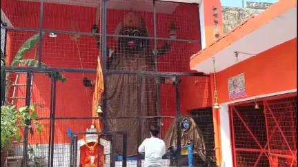 गजरौला के टीचर्स कॉलोनी की काली के मंदिर पर होते हैं अलग-अलग तरह के कार्यक्रम