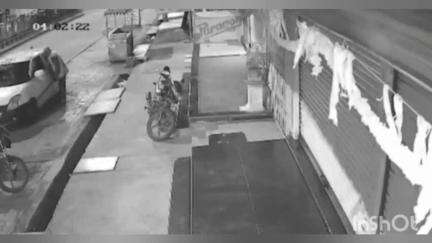 दर्यापूर: बनोसा मार्गावरील विक्रम ज्वेलर्स मध्ये धाडसी चोरी;एक कोटींच्या वर मुद्देमाल लंपास;घटना सीसीटिव्ही कॅमेऱ्यात कैद