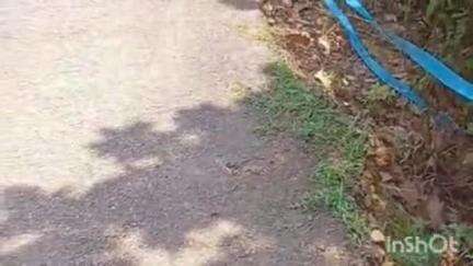 അടൂര്‍: ചിരണിക്കൽ - ചെന്നങ്കര - കരിമാളം റോഡിൻ്റെ സൈഡ് ഇടിഞ്ഞ് അപകട ഭീഷണി ഉയർത്തുന്നു #localissue