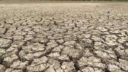 அரியலூர்: வறண்டு காணப்படும் சித்தேரி- ஏரியினை தூர்வாரி, ஏரியையும், வெளிநாட்டுப் பறவைகளையும்  பாதுகாக்க கோரிக்கை #localissue