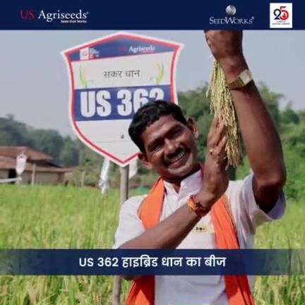 Us 362  हाइब्रिड बीज जिसमे मिलता है 10%अधिक दाने @@तो किसान भाई देर न करे और अपना खेत में लाग्यूस 362@##