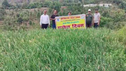 चम्पावत: पंतनगर कृषि विज्ञान केंद्र के वैज्ञानिकों ने दुधपोखरा में कीवी की फसल का निरीक्षण किया