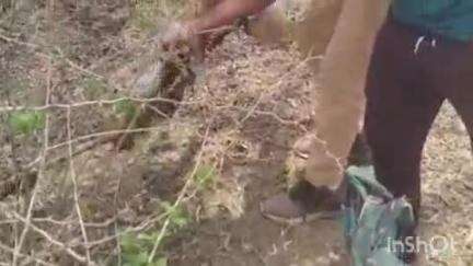 कपासन: मेवदा बांध के निकट नर्सरी में मानव कंकाल मिलने से क्षेत्र में फैली सनसनी, पुलिस मौके पर पहुंची