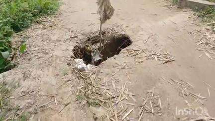 ধেমাজি: কাকৈয়ালত এটি পথৰ দুৰৱস্থাই জ্বলা-কলা খুৱাইছে প্ৰায় ৫ শতাধিক ৰাইজক, অতি সোনকালে নিৰ্মাণৰ দাবী #jansamasya