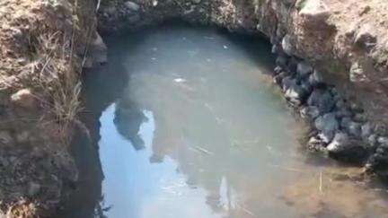 लालबर्रा: छिंदीटोला में सोन नदी के उद्गम स्थल पर मंत्री श्री पटेल ने कहा, पौधा लगाना ज़रूरी नहीं, उसे पेड़ बनाना ज़रूरी है