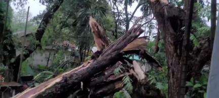 মাদারিহাট: কালবৈশাখী ঝড়ে ক্ষতিগ্ৰস্থ আলিপুরদুয়ার জেলার মাদারিহাটের বিভিন্ন এলাকা