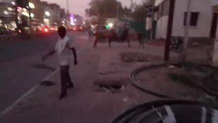 भांडेर: नगर में आवारा सांडों के आतंक से आमजन परेशान, आये दिन लोग हो रहे घायल, जिम्मेदार नहीं दे रहें ध्यान#Jansamasya