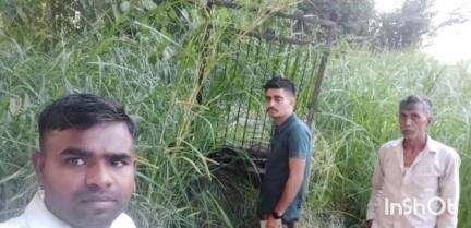 धामपुर: नहटौर क्षेत्र के गांव फुलसंदा खाकम के जंगल में गुलदार को पकड़ने के लिए लगाए गए पिंजरे को देखने वन विभाग की टीम पहुंची