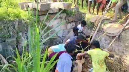 சிவகிரி: தண்ணீர் இல்லாத கிணற்றில் தவறி விழுந்த பசு மாட்டை மீட்ட தீயணைப்பு மற்றும் மீட்பு பணிகள் துறையினர் பொதுமக்கள்