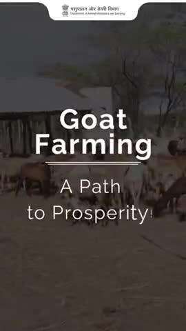 Goat Farming – Your Path to Prosperity!

Ready to start goat farming?

 Visit the NLM Udyamimitra website for all the guidance you need.