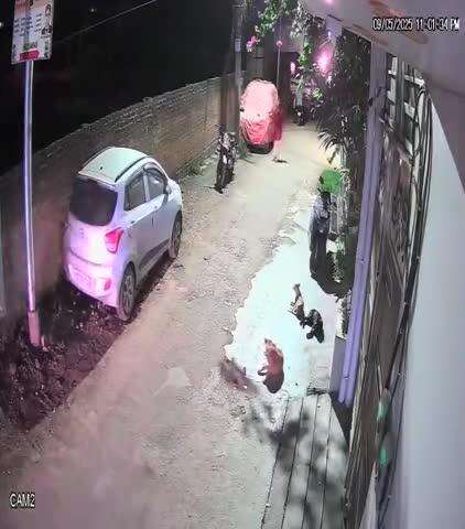 बालागंज सुंदरी लॉन के बाहर बाइक चोरी हुई 09/05/2025
गाड़ी नंबर UP 32 LA 6574