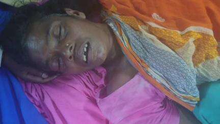 গাজোল: কমলডাঙায় সাপের ছোবলে মৃত্যু মহিলার