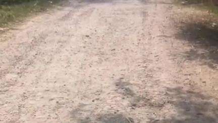 नवाबगंज: बाराबंकी में बेरहरा गोदहा संपर्क मार्ग की खराब हालत को लेकर ग्रामीणों ने मरम्मत की मांग की