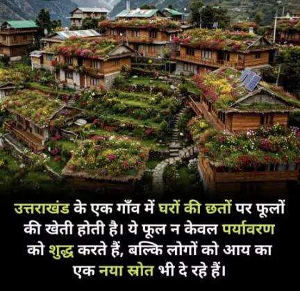 जहाँ छतें थीं गर्म और बंजर, वहाँ अब खिलते हैं रंग-बिरंगे फूल!
ये गाँव बना पर्यावरण और रोजगार का संगम।
#uttarakhand #flowers #rooftopfarming