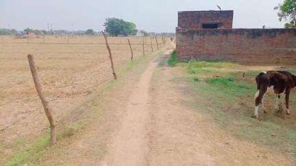 चकरनगर: आजादी के सात दशक बीत जाने के बाद भी नगला महानन्द गांव तक नहीं बन पाया लिंक मार्ग #jansmasya