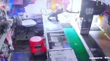 सेवढ़ा: नगर में लंगूर ने दुकानों और घरों में की तोड़फोड़, एक किशोरी और दो दुकानदार हुए घायल; वन विभाग को दी गई सूचना