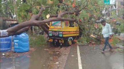 नवाबगंज: सफदरगंज चौराहा के निकट आंधी तूफान में मुख्य मार्ग के किनारे खड़े टैम्पो पर गिरा पेड़, टैम्पो हुआ क्षतिग्रस्त