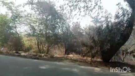 जलालपुर: अकबरपुर रोड स्थित मैनपुर मोड के पास सप्ताह भर से धधक रही है आग