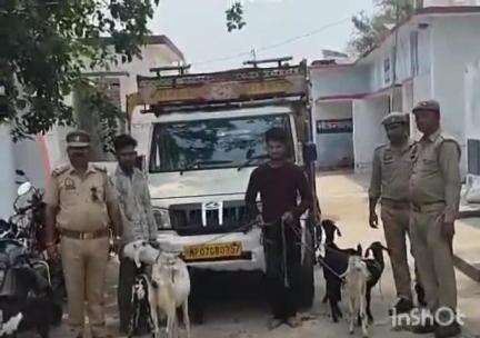उरई: एट थाना पुलिस ने बकरी चोरी करने वाले 2 चोरों को अवैध असलहे के साथ किया गिरफ्तार, की विधिक कार्रवाई