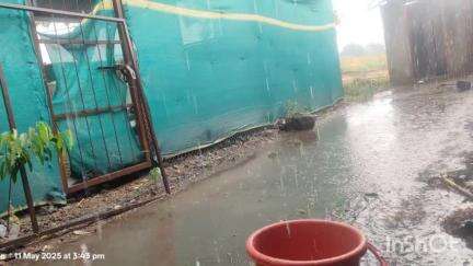 फुलंब्री: शेलगाव खुर्द परिसरात पावसाचे हजेरी