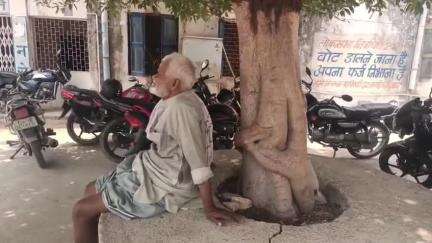 भांडेर: नगर के बाईपास रोड पर दबंग ने वृद्ध के खेत के पेड़ काटे, पीड़ित ने भांडेर थाने में दर्ज कराई शिकायत