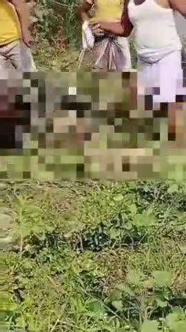 बहादुरगंज: बहादुरगंज थाना क्षेत्र में नदी किनारे मिट्टी में दबा मिला महिला का शव, पुलिस जाँच कर रही है